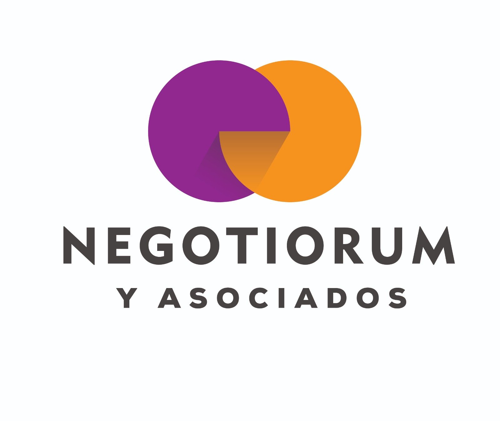 Logo NEGOTIORUM Y ASOCIADOS